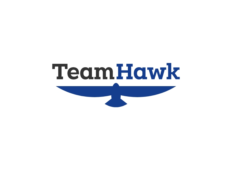Team Hawk logo design