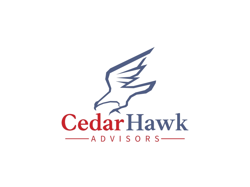 Hawk Logo Design