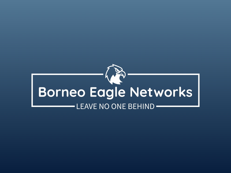 Borneo Eagle Networks logo design
