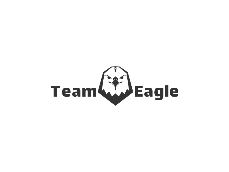 Hawk Logo Design