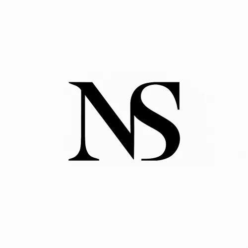 Monogram icon for NS