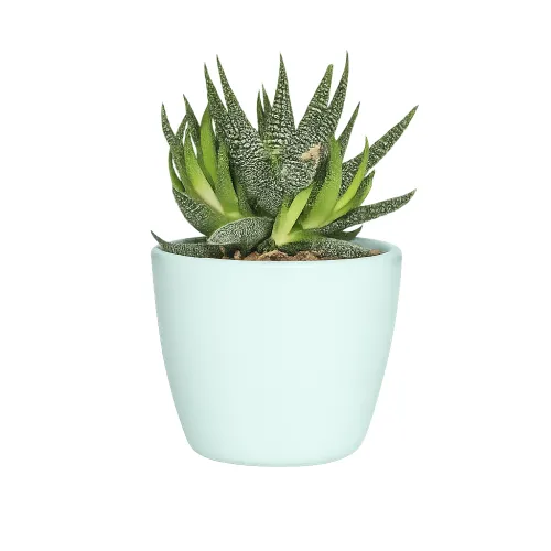 AI Product Image Shadow