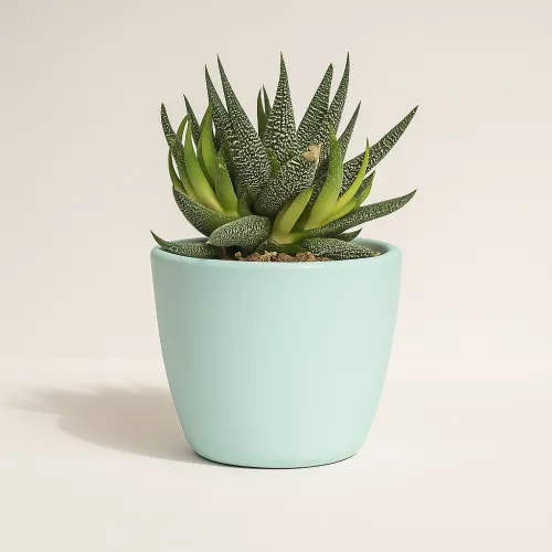 AI Product Image Shadow